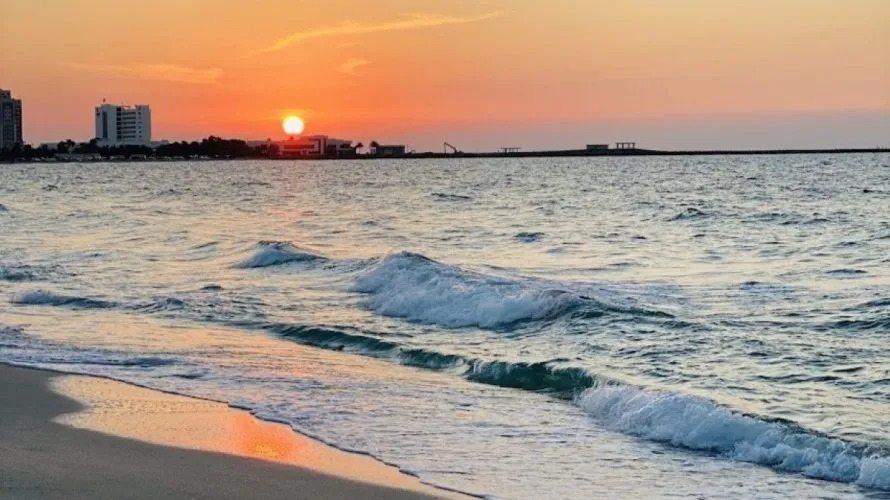 5 غرفة نوم  فيلا في Al Zorah, الإمارات العربية المتحدة رقم 553 № 27