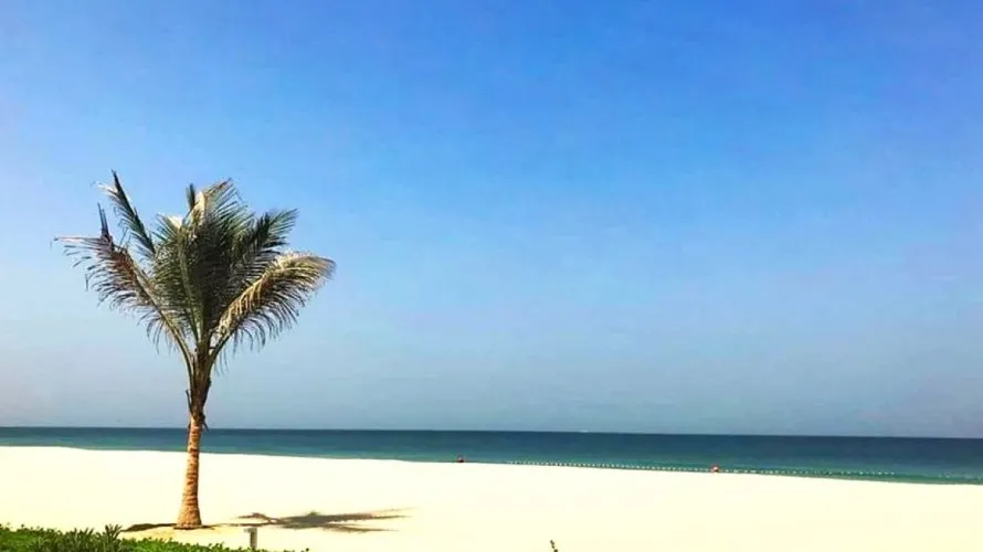 Villa de 4 dormitorios en Al Zorah, UAE No. 884 № 22