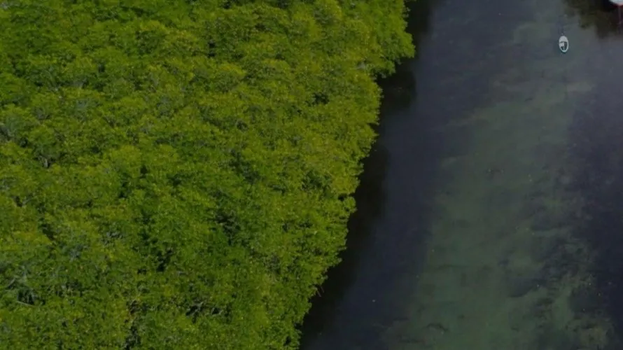 Villa de 5 chambres à Al Zorah, UAE No. 553 № 18