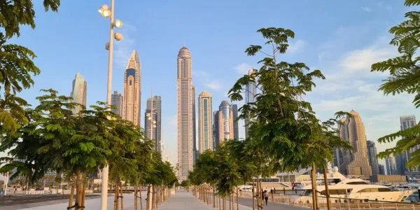 Dubai Harbour № 10