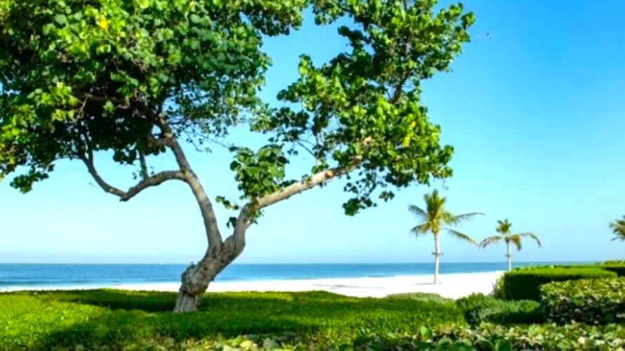 5 bedrooms villa for sale , Al Zorah, Ajman, UAE No. 553 № 8